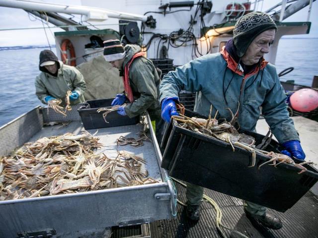 Geniz kanseri ile ilişkili&nbsp;meslekler