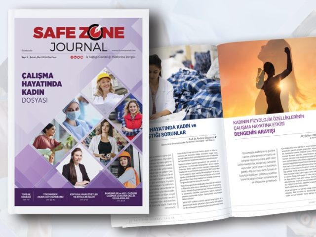 Safe Zone Journal: Dergi mezarlığına gömülecek yeni bir girişim&nbsp;mi?